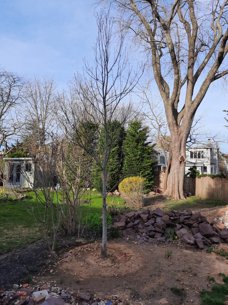 During Construction Pictures: Slide 80 of 196